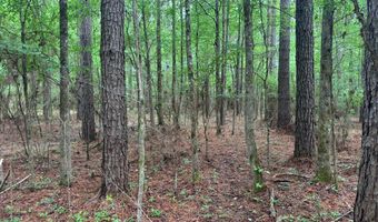 2780 Jackson Liberty Rd, Bogue Chitto, MS 39629