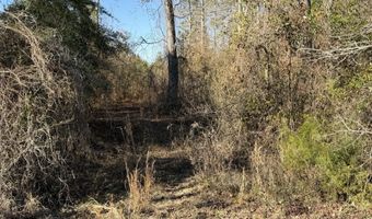 Delancey Road, Braxton, MS 39044