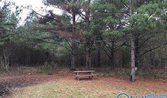 6777 Hwy 207, Anderson, AL 35610