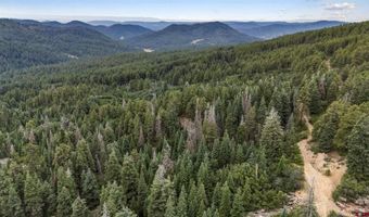 TBD Unit 3 Forest Lakes, Bayfield, CO 81122