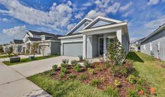 6042 GOLDEN NETTLE Dr, Apollo Beach, FL 33572