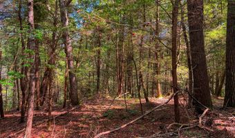 54 E Ridge Rd, Allardt, TN 38504