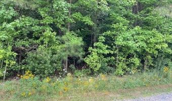 Lot 1-D Daniels Lane, Bennettsville, SC 29512