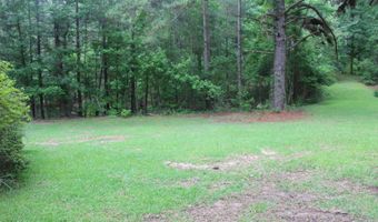 429 River Road Dr, Bogue Chitto, MS 39629
