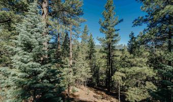 Snowmass Rd lot 9, Angel Fire, NM 87710