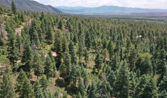 End of El Salto Road, Arroyo Seco, NM 87514