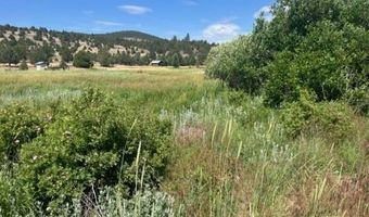 680-550 Butte Creek Rd, Adin, CA 96006