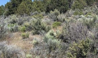 Medicine Mountain Drive, Beatty, OR 97621