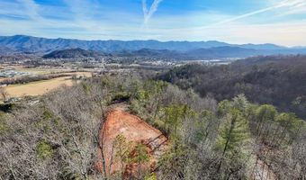 430 Live Oak Ter, Andrews, NC 28901