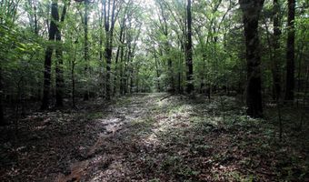 000 AVE 5 SW St, Atkins, AR 72823