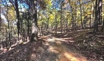 0 LOWER ARKANSAS Rd, Baker, WV 26801
