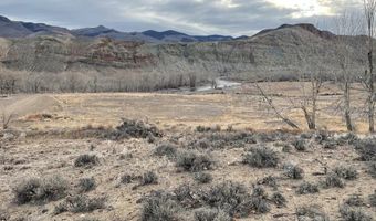 1111 Buckskin Run, Challis, ID 83226