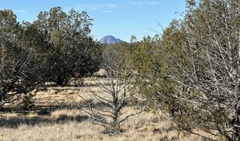 2249 Cienega Dr, Ash Fork, AZ 86320