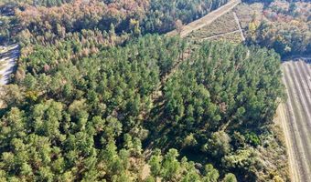 TBD Binnicker Bridge Road, Bamberg, SC 29003