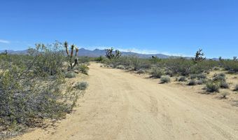 5558 E Red Barrel Rd, Yucca, AZ 86438