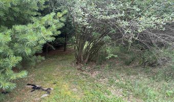 20 Acres E M-30 Hwy, Alger, MI 48610