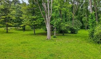 425 Courtney Rd, Addison Twp., MI 48367