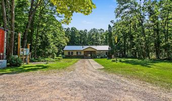 3871 Resort Rd, Alanson, MI 49706