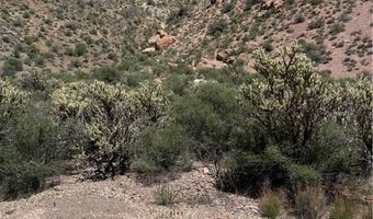Carp Road, Caliente, NV 89008