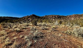 TBD X4 Road, Bedrock, CO 81411