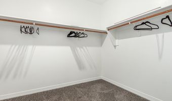 16053 S RHIANNON MICHAELA Pl, Sahuarita, AZ 85629