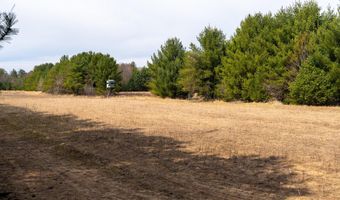 Dover Drive lot 2 +/-43 Ac, Adams, WI 53910