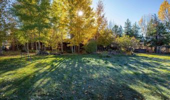 83 BUCK Ln, Alpine, WY 83128