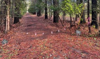 170 E Shore Dr, Adirondack, NY 12808