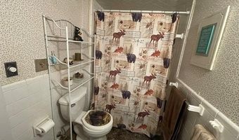 2596 E Fox Rd, Alcona, MI 48742