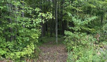 174 Rabideau Rd, Altona, NY 12910