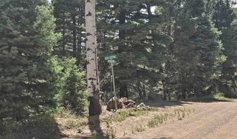 Plesant Valley lot 1302, Angel Fire, NM 87710