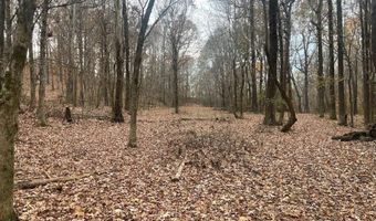 143 Greene Road 610, Beech Grove, AR 72412