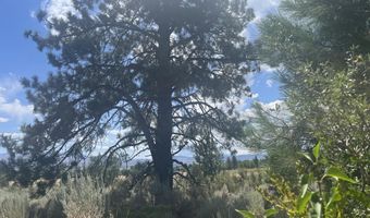 233 Sierra Country Cir, Gardnerville, NV 89460