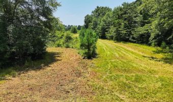 568 COUNTY ROAD 15 Lot 1, Autaugaville, AL 36003