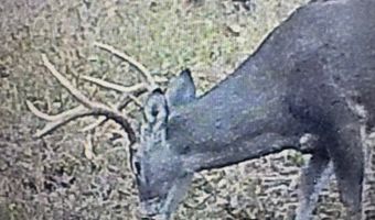447 County Road 215, Abbeville, MS 38601