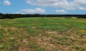 Tbd Tract 5 Fm-2819, Anderson, TX 77830