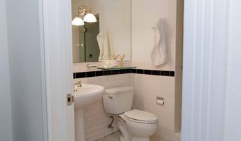 229 W Hallam St, Aspen, CO 81611