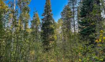 Tbd ALPINE MEADOW LOOP 14, Alpine, WY 83128