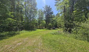 2115 Drummond Rd, Alger, MI 48610