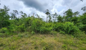 0 Edison St Lot 114, Alford, FL 32420