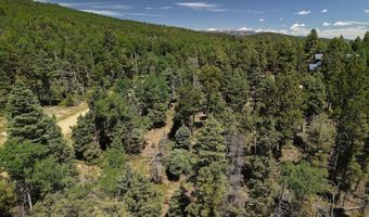 97 Zia Rd, Angel Fire, NM 87710