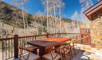 6770 Castle Creek Rd, Aspen, CO 81611