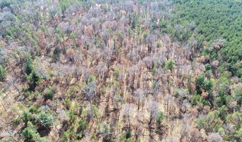 10 Acres County Road C, Arkdale, WI 54613