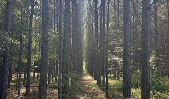 570 Bethany Church Rd, Bainbridge, GA 39817