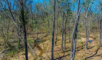 2002 Cherry Xing, Benton, AR 72015