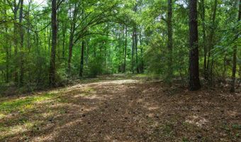 23826 Opine Rd, Andalusia, AL 36421
