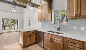 141 N Aspen St, Alma, CO 80420