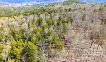 TM 413 L 99 King Road, Alexandria, NH 03222