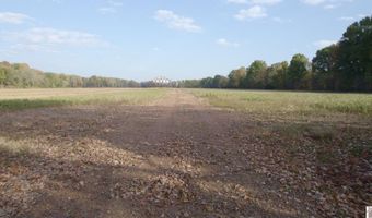 Holloway Landing Road, Barlow, KY 42024