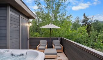 304 S Garmisch St, Aspen, CO 81611